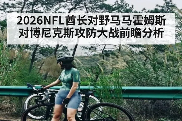 2026NFL酋长对野马马霍姆斯对博尼克斯攻防大战前瞻分析